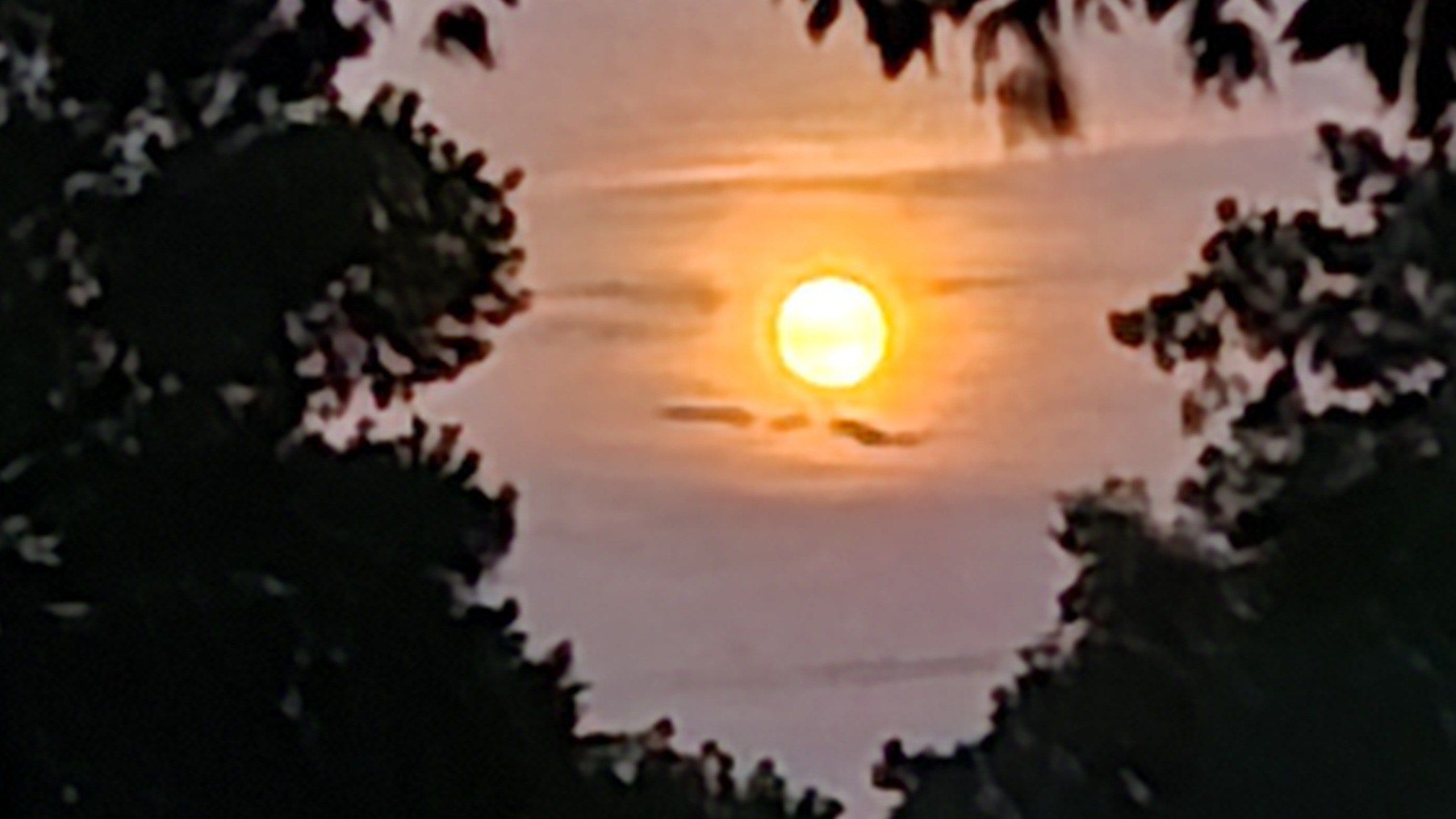 An orange colored moon rising between trees