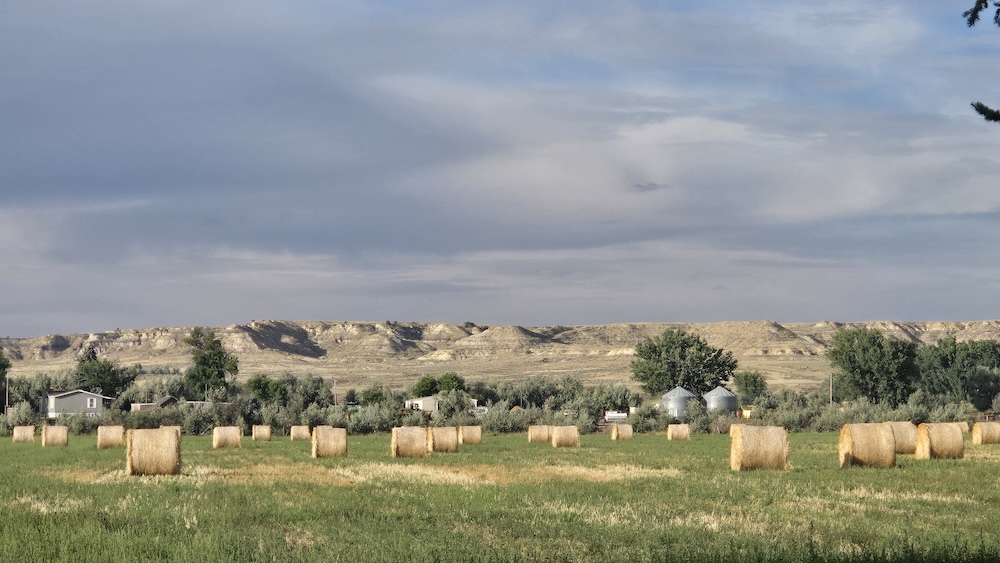 a field of hay bales with rocky hills in the background and a cloudy sky