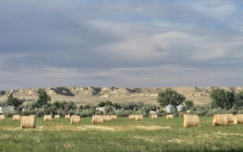a field of hay bales with rocky hills in the background and a cloudy sky