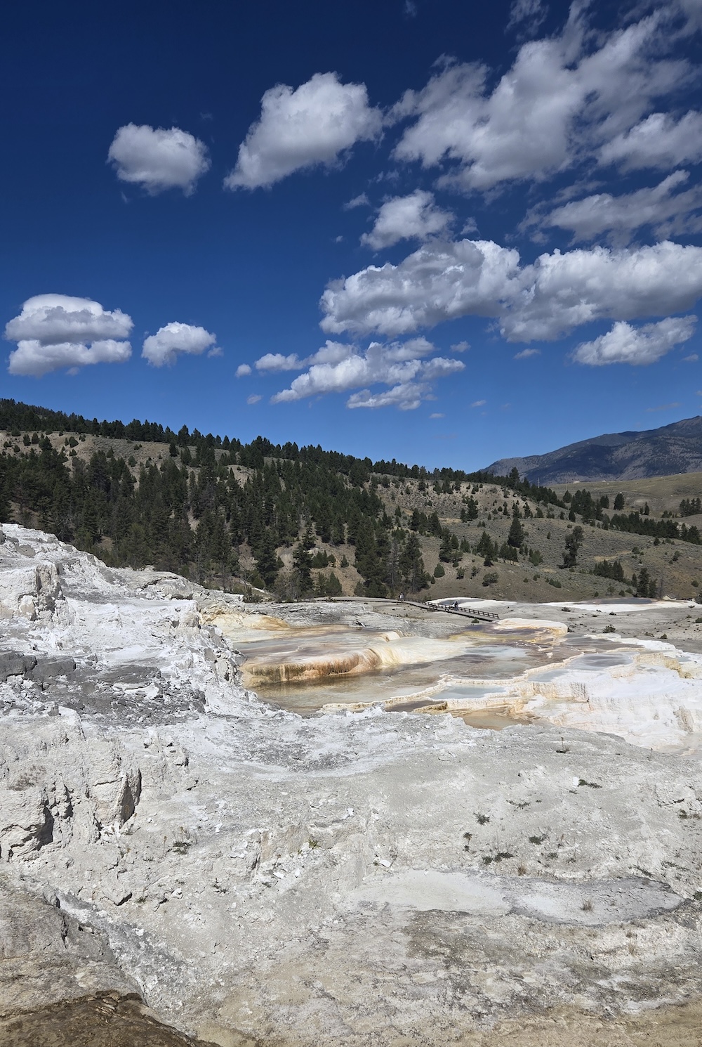 lower portion of Mammoth Hot Spring with white and amber pools of water