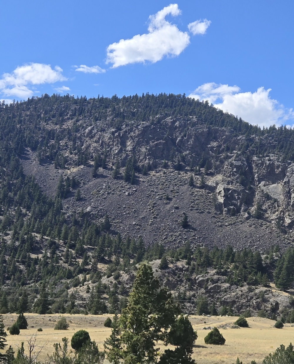 Dark colored mountain covered in evergreens taken from truck window