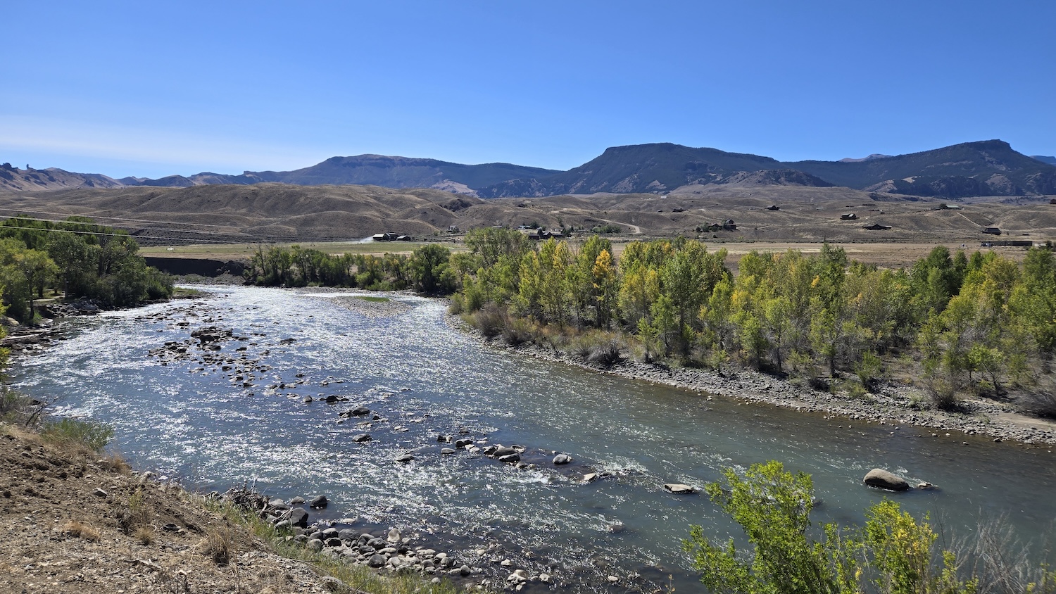 a view of the Shoshone river with tree-lined bank