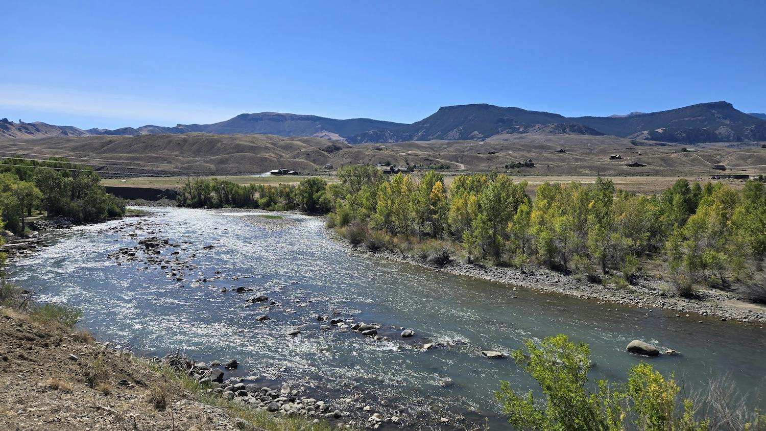 a view of the Shoshone river with tree-lined bank
