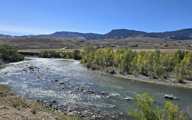 a view of the Shoshone river with tree-lined bank