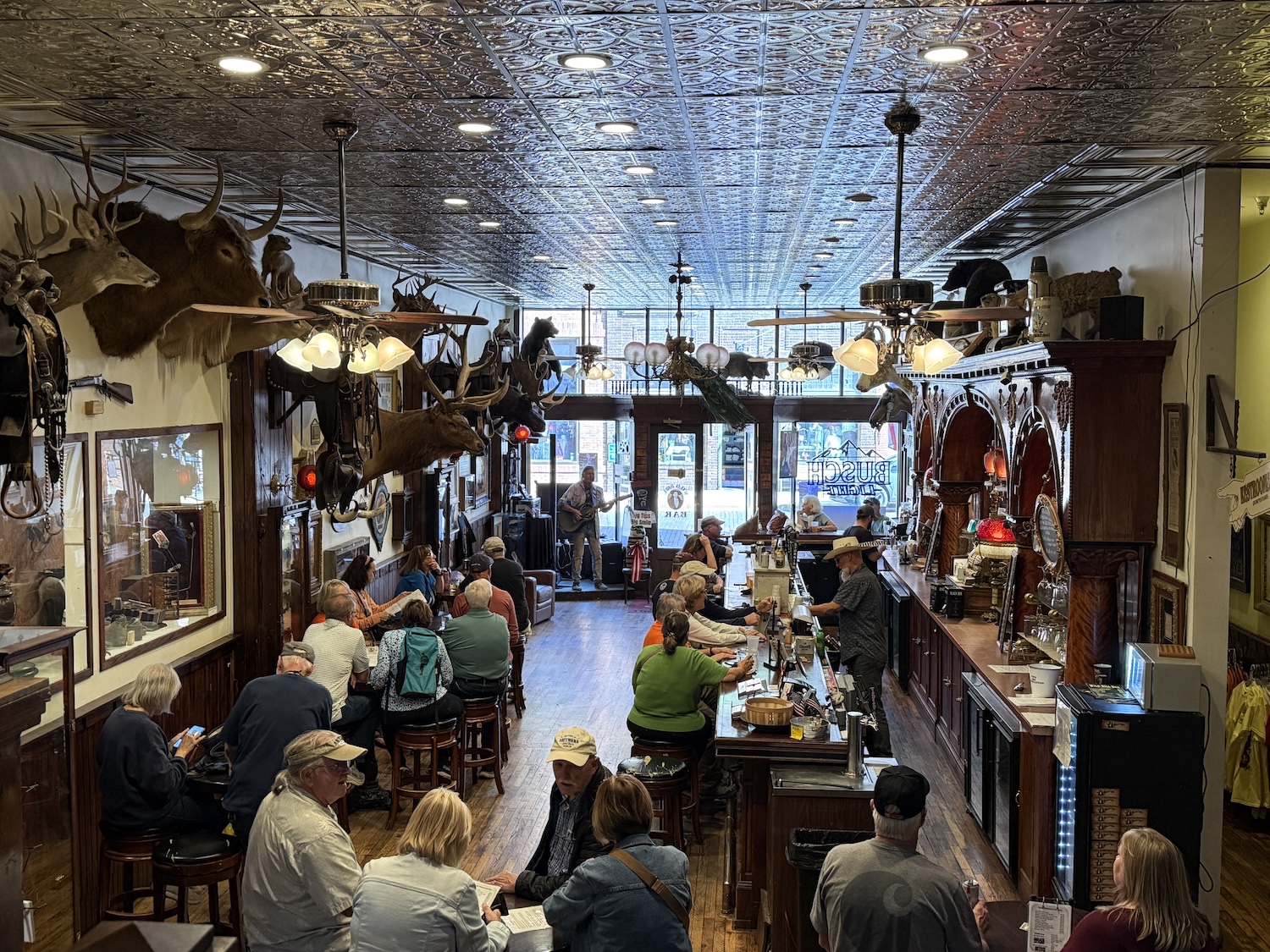 the inside of the Wild Bill bar with ornate metal ceiling tiles and animal heads lining the walls
