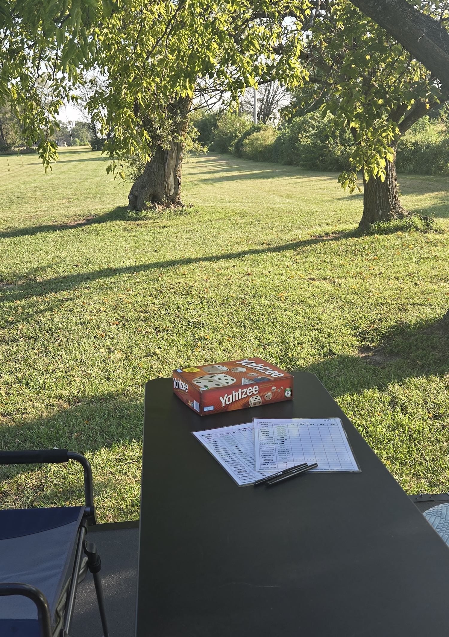 outside table with Yahtzee game and cards, grass and trees in the background
