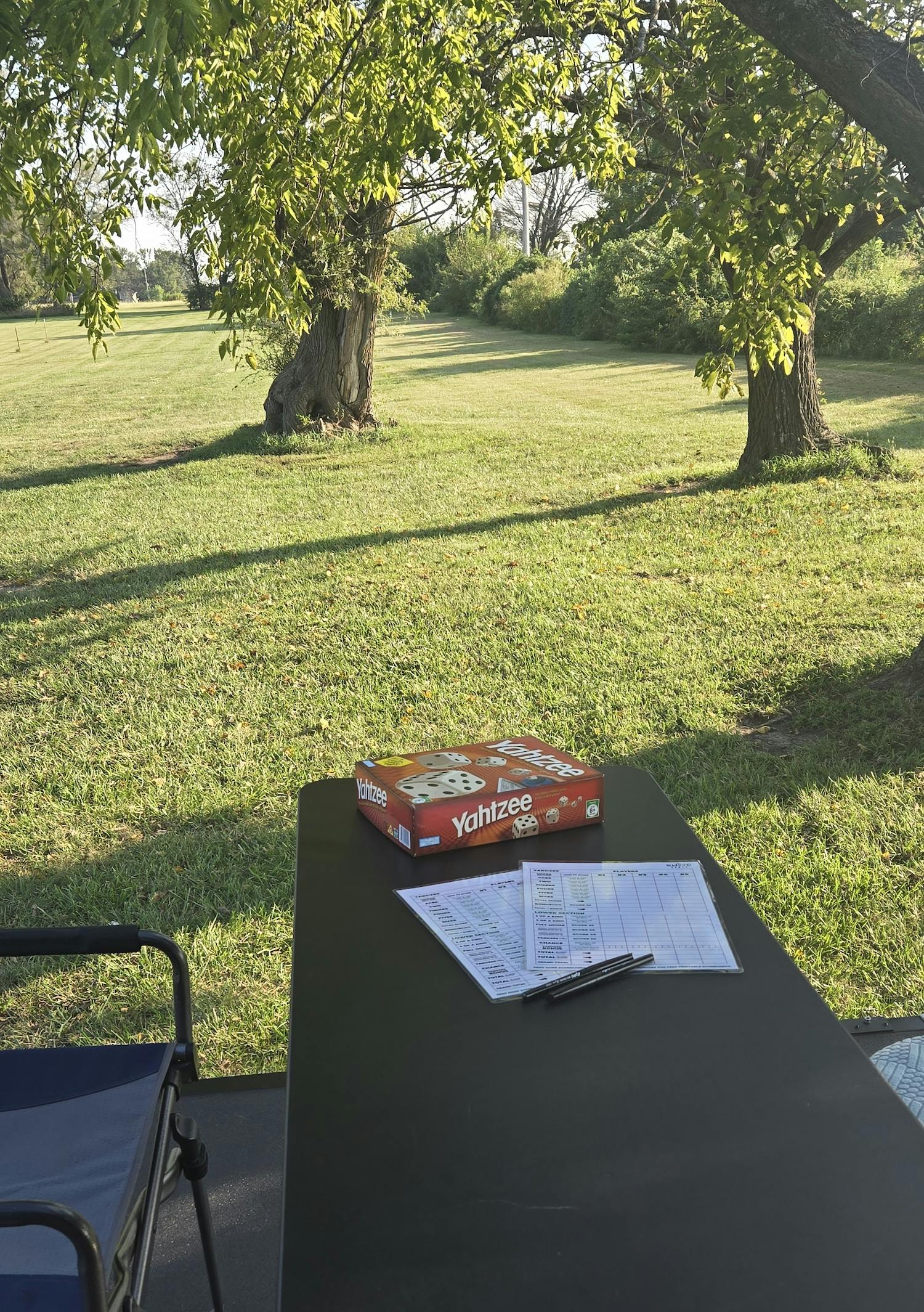 outside table with Yahtzee game and cards, grass and trees in the background