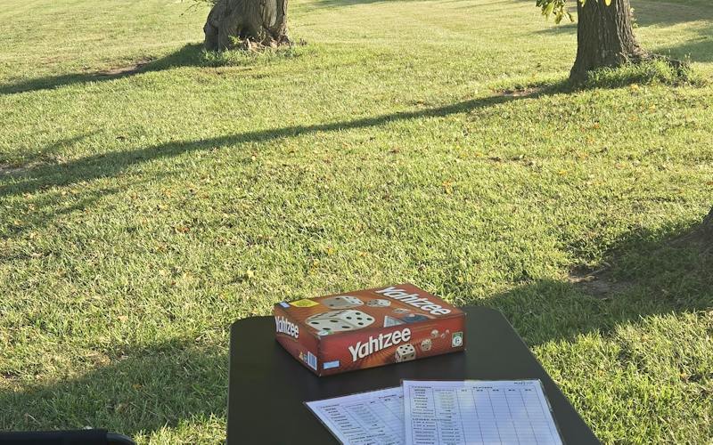 outside table with Yahtzee game and cards, grass and trees in the background