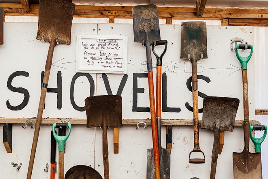 Shovels hanging on a shed wall