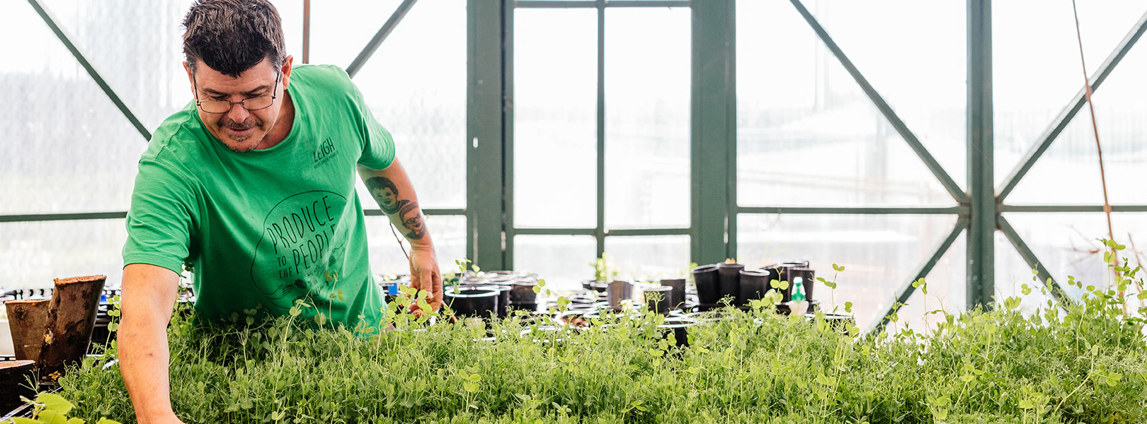 Man tending to his hot house garden