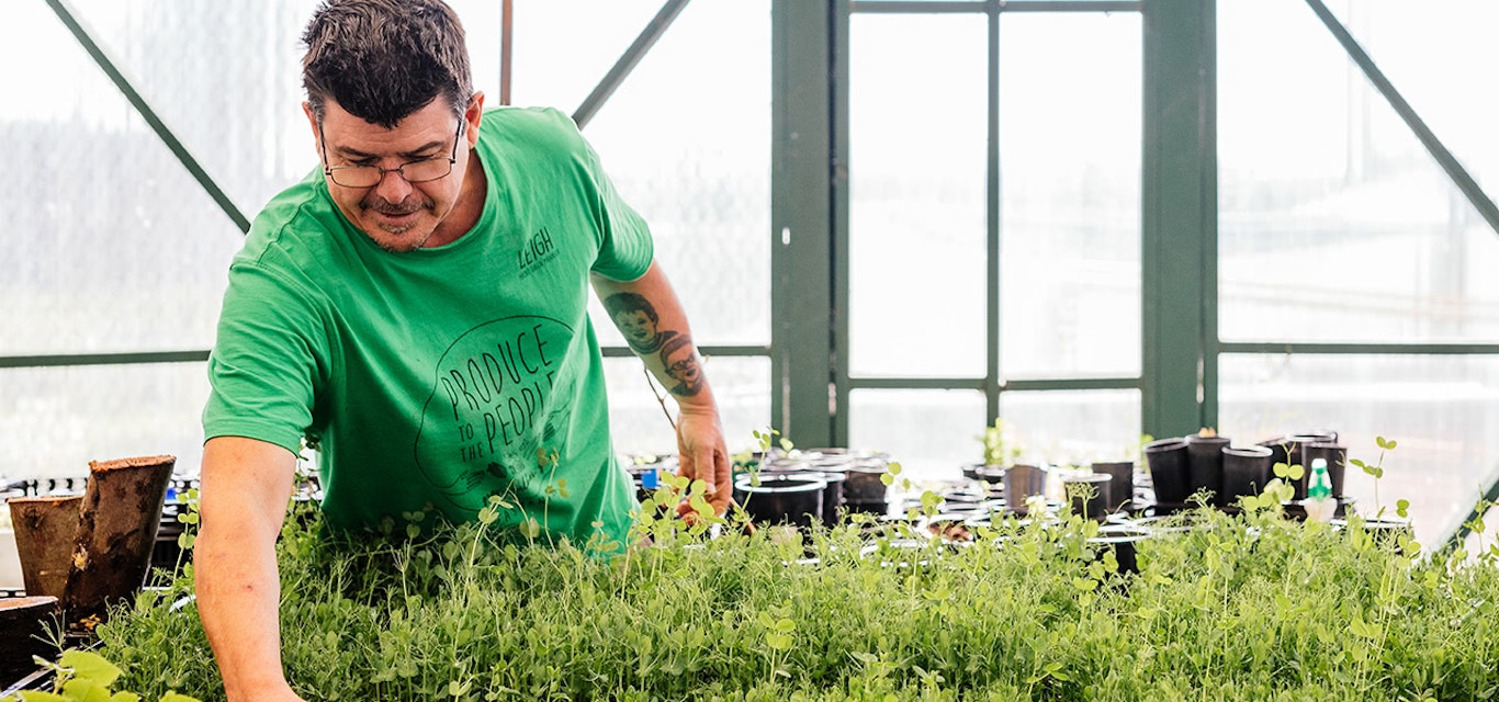 Produce to the people garden at Burnie High School Man tending to his hot house garden