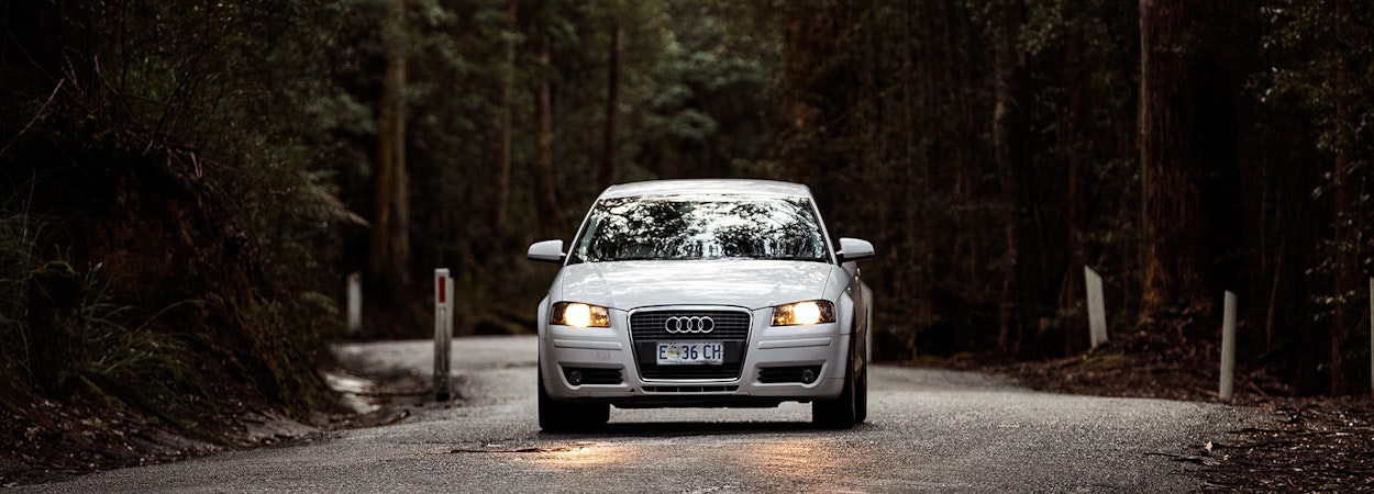 Nice car driving on forest road 