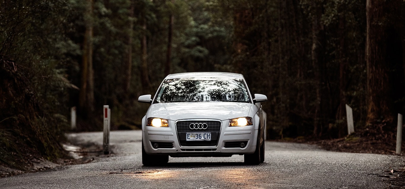 Nice car driving on forest road 