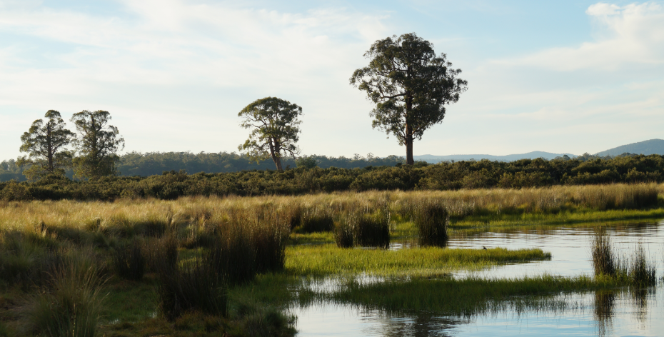 Water and wetlands