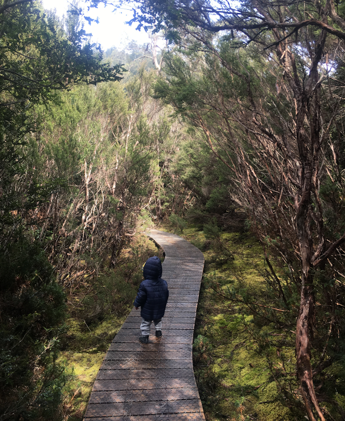 Child walking along duckboards in bushland