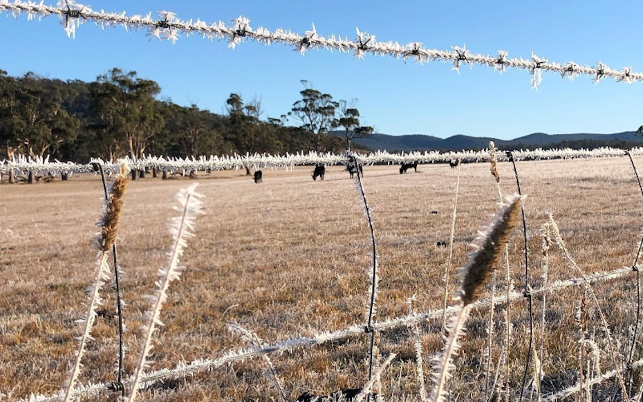 Frost on farm fence