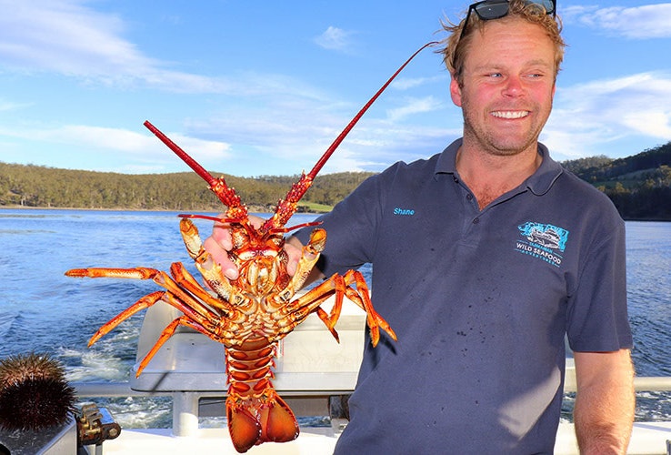 Man on a boat holding a crayfish