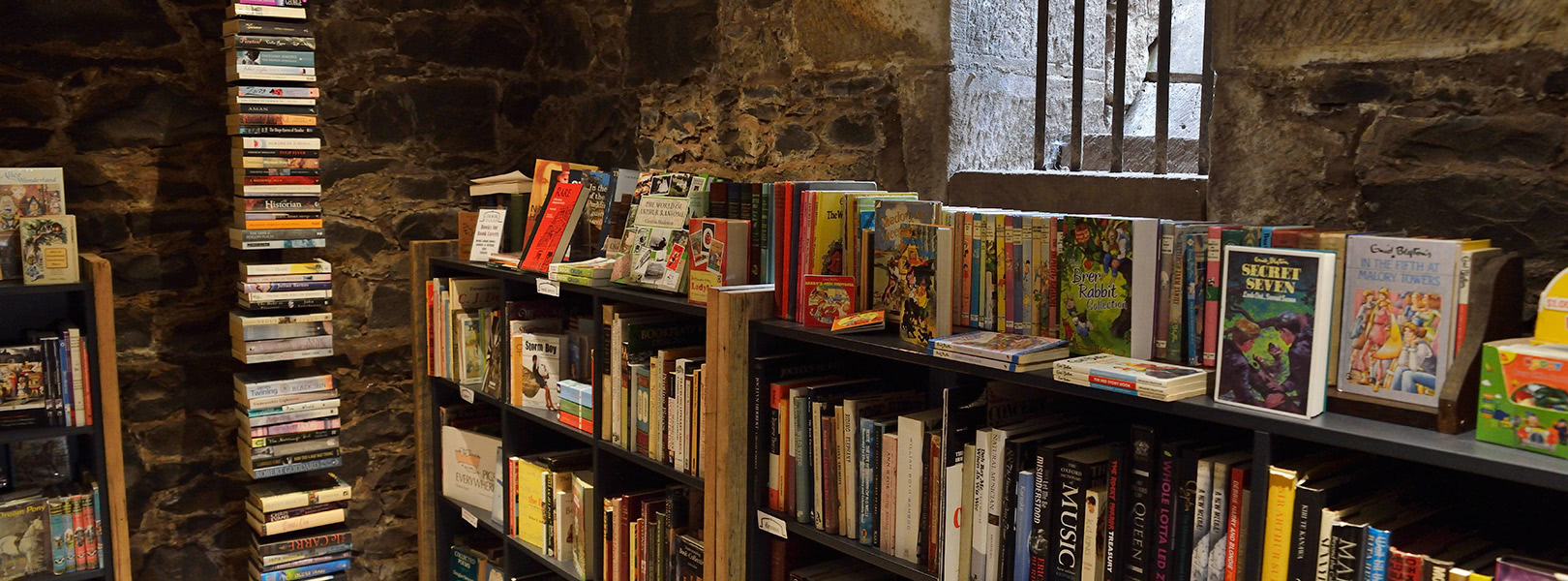 A variety of books lining the historic walls of The Book Cellar.