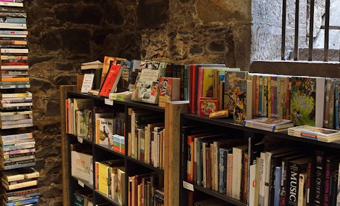 A variety of books lining the historic walls of The Book Cellar.