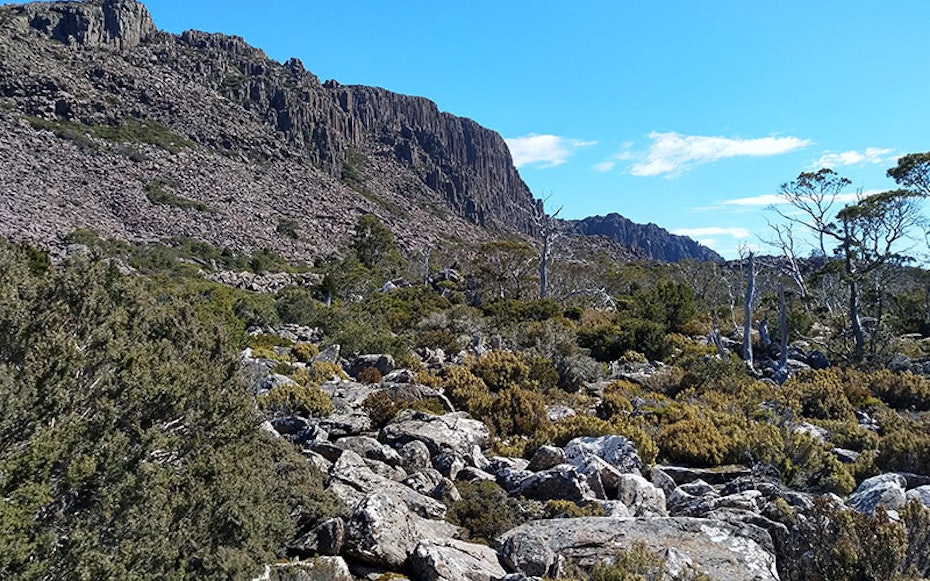 Bush mountainside.