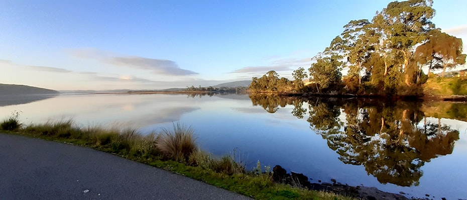 Still morning view of lake lined with trees