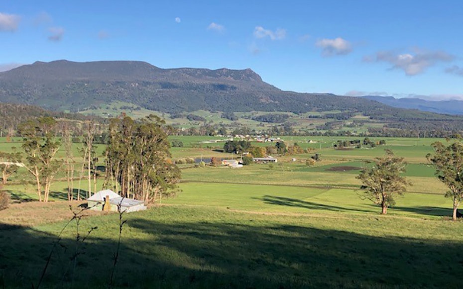 Green farmland with mountainous backdrop