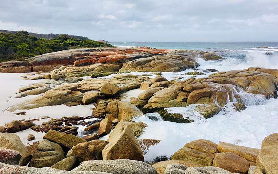 Waves crashing and lichen covered red rocks at Swimcart Beach, Bay of Fires