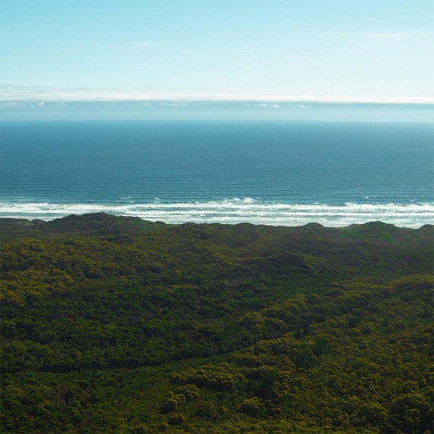 View of forest and ocean at Ocean Beach