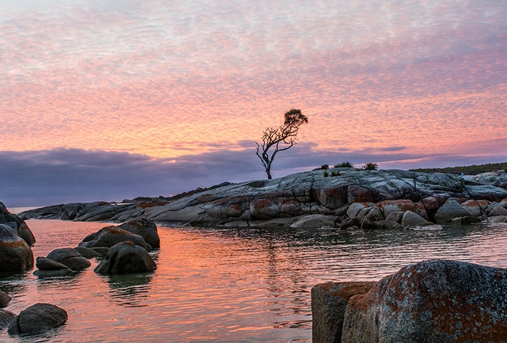 Sunset at the lone tree, Binalong Bay