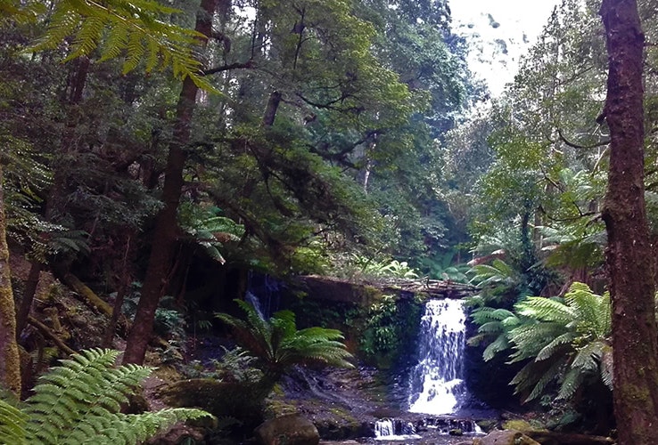 Mt Field National Park