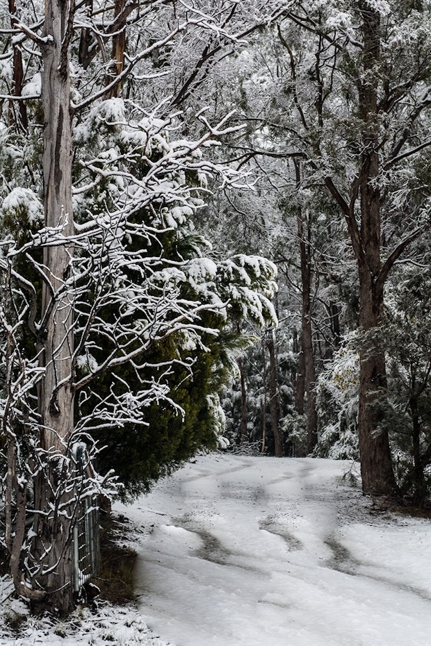 Snow path.