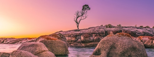Purple sunrise.