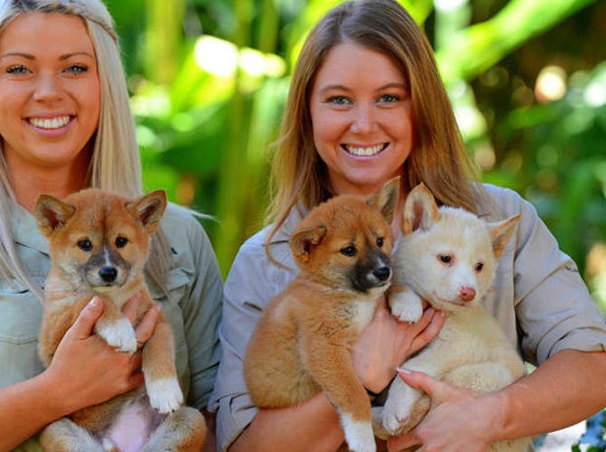 Two women staff members holding puppies