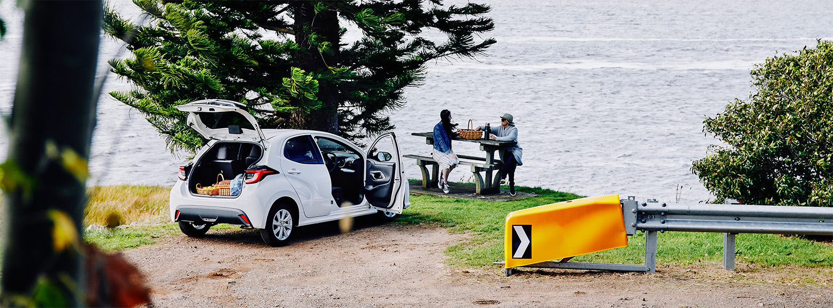 People setting up a picnic from car.