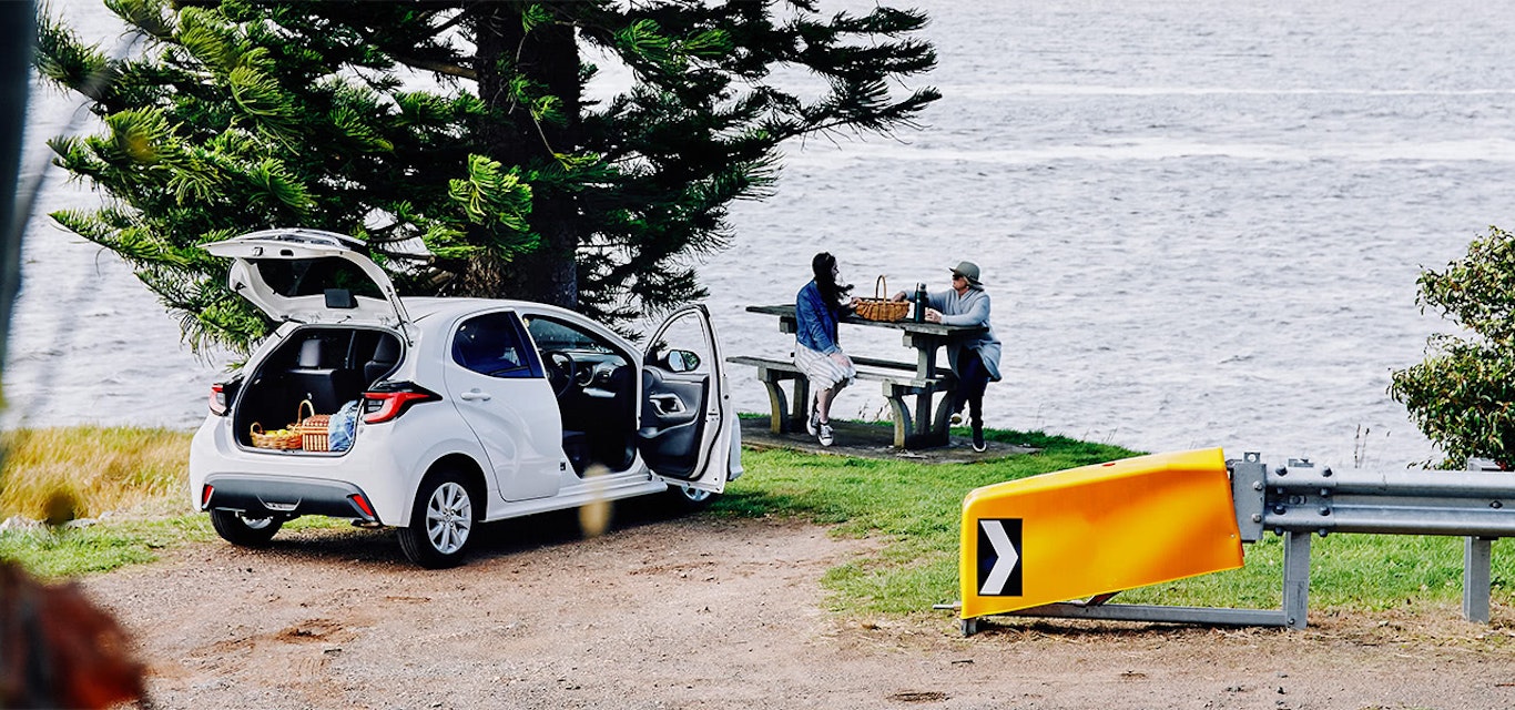 People setting up a picnic from car.