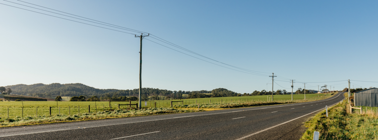Stretch of country road.