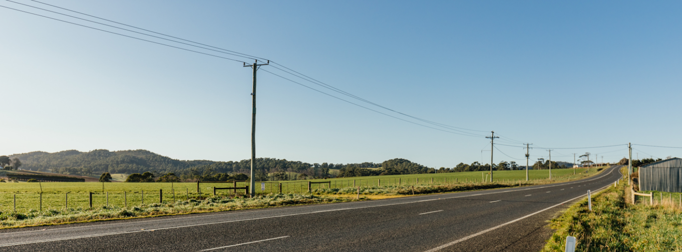 Stretch of country road.