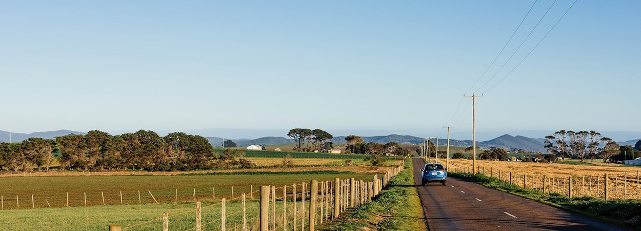 A rural Tasmanian road