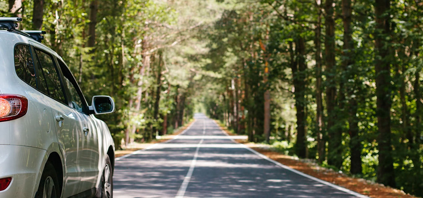 Car driving down a forest road.