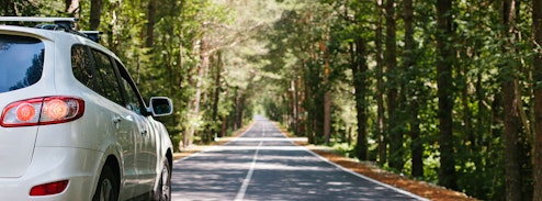 Car driving down a forest road.