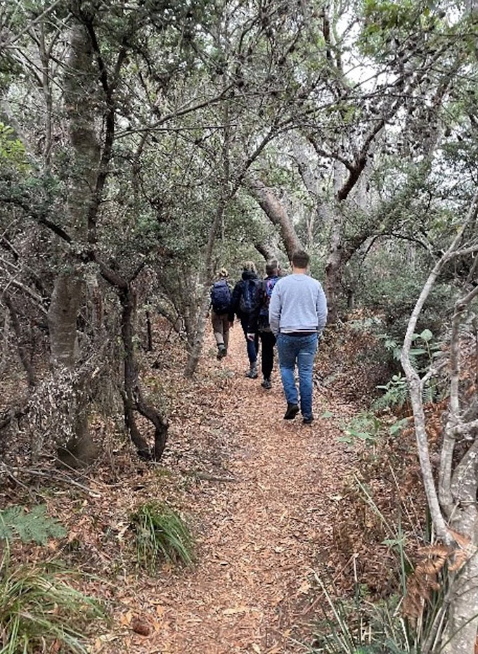Walking through the Australian bush