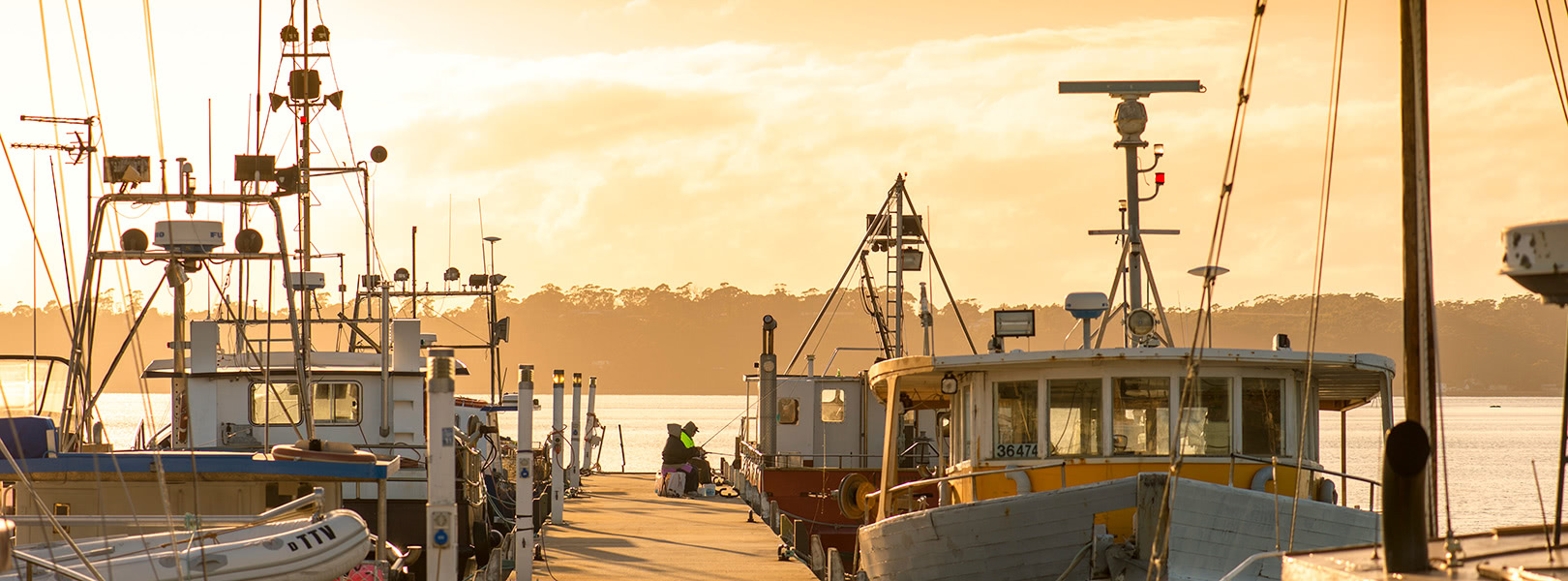 Fishing on the wharf
