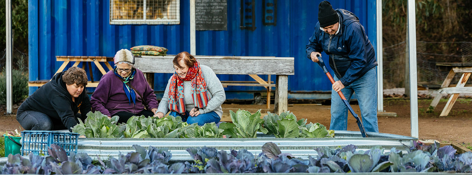 A group gardening in a raised garden bed