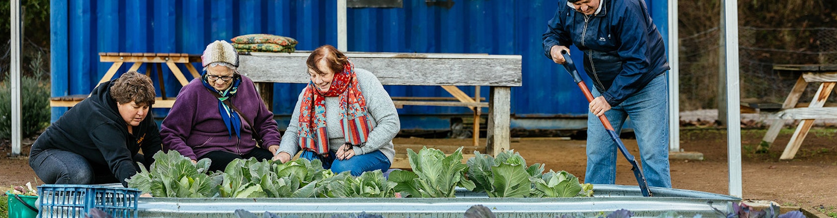 A group gardening in a raised garden bed