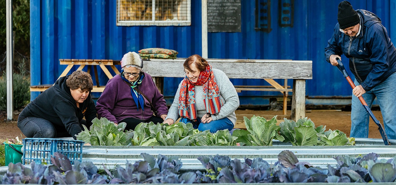 A group gardening in a raised garden bed