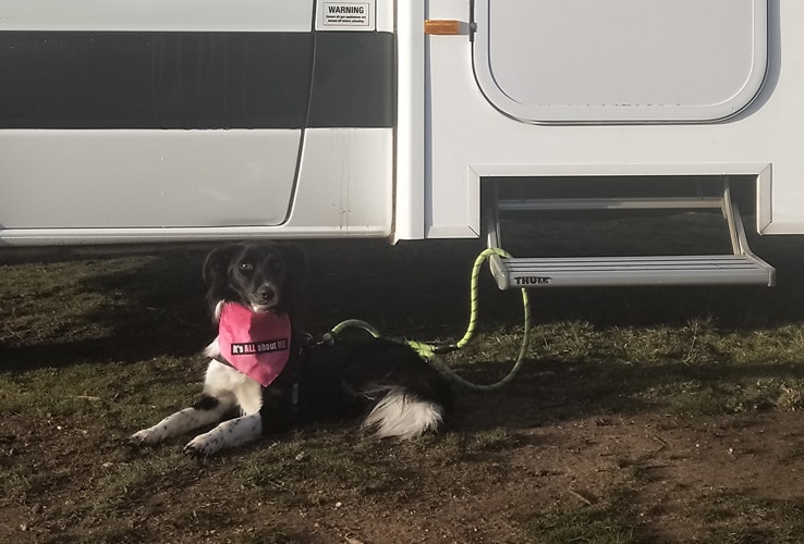 Mini the dog sittin in front of the Apollo caravan