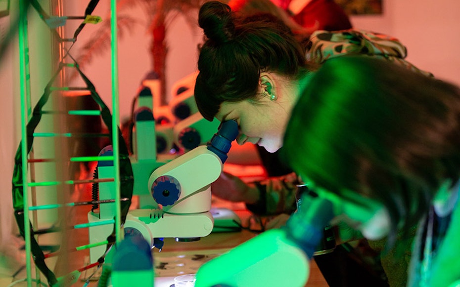 People looking into microscopes