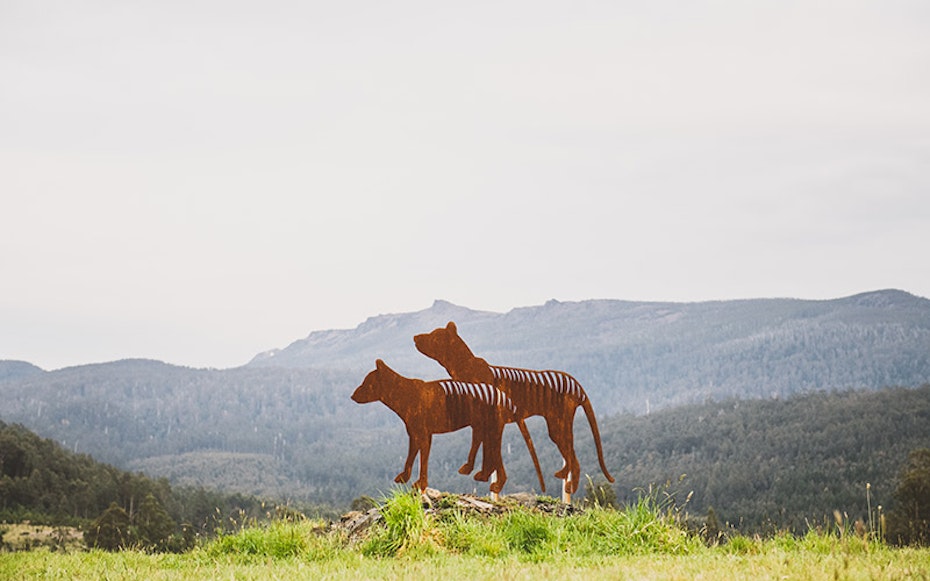 Tasmanian Devil sculpture