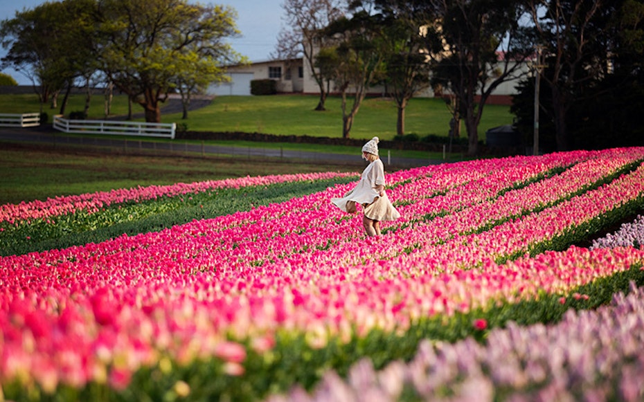 A young lady posing in a tulip farm
