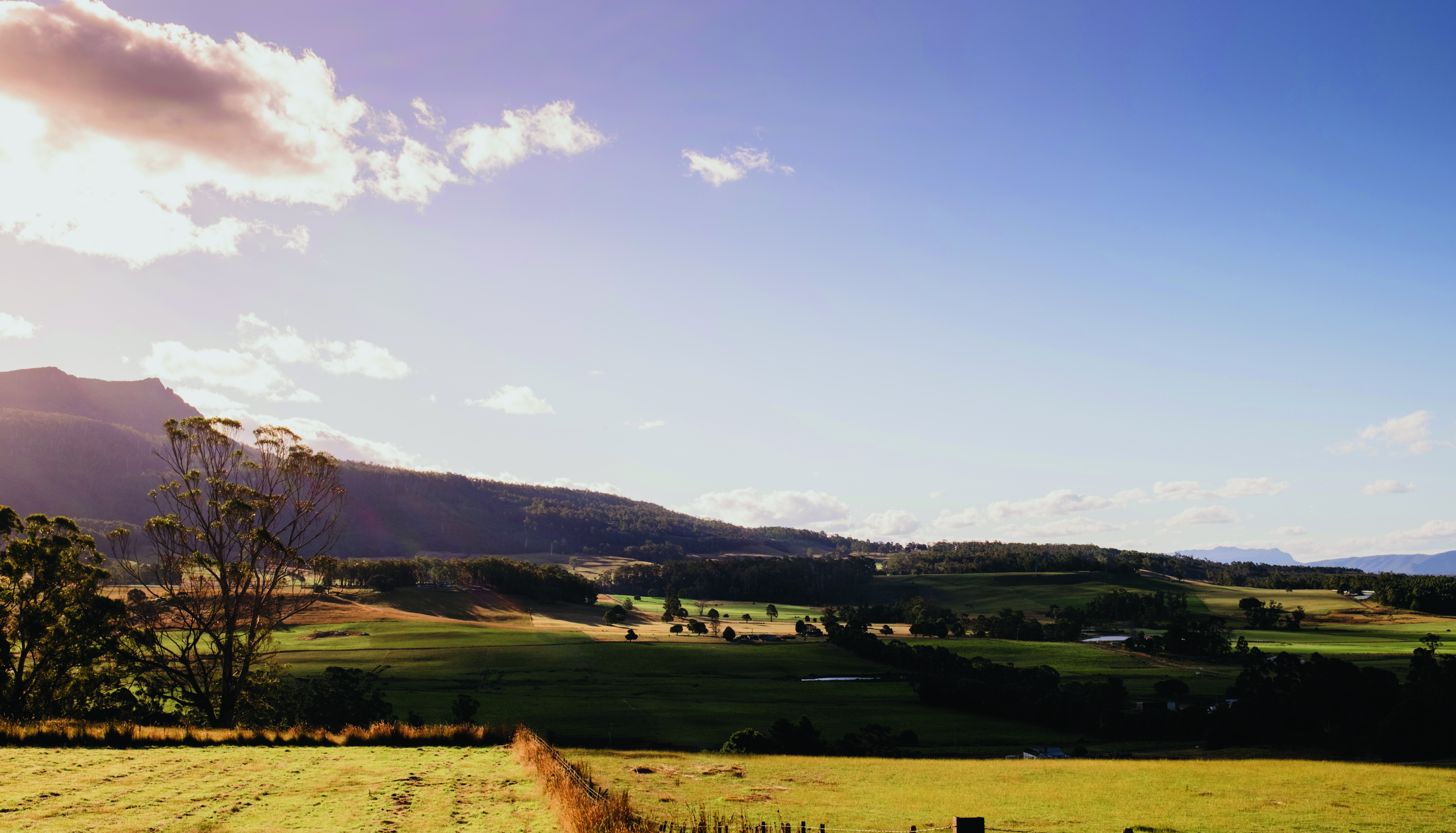 Meander Valley country side